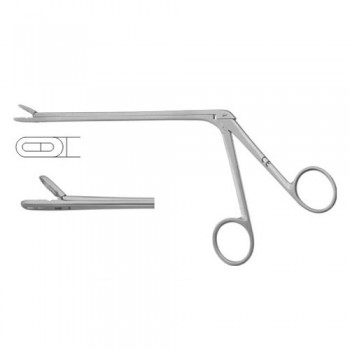 Leminectomy Rongeur Straight - Fenestrated and Serrated Jaws Stainless Steel, 15.5 cm - 6" Bite Size 2 x 12 mm 
